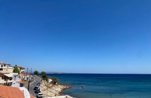 Terry Studio - Foto 65