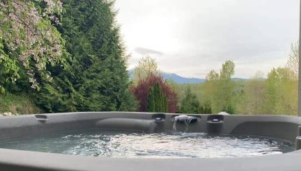 Mountain View Estate Forest Hot Tub Full Arcade - Photo 4