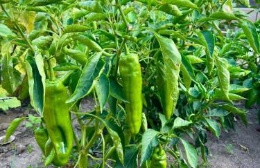 Casa rural Reibón - Foto 25