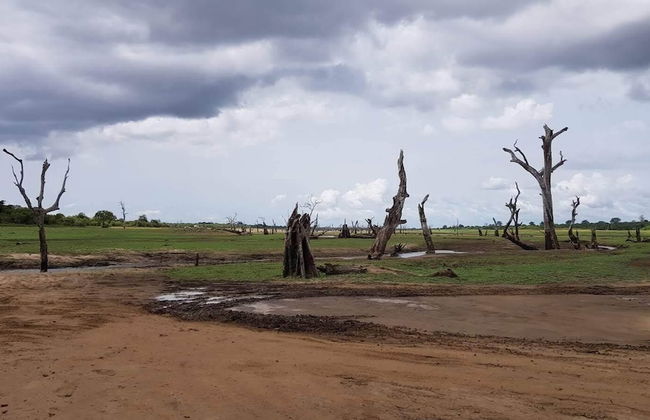 Residence Kuruniyavilla - Photo 74