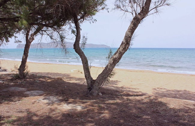 Lifeguard Beachfront - Luxury Flat, 30meters From Sea - Foto 41