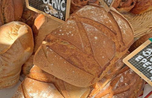 Villa Cantirane - Foto 24