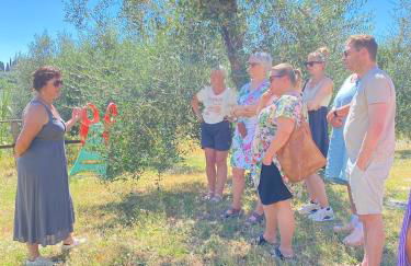 Agriturismo I Moricci - Foto 11