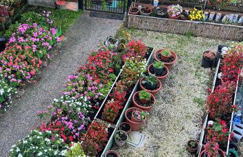 4Venice Malcontenta - Foto 28