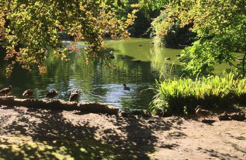 Chestnut Cottage, Shanklin Rural Retreat - Foto 37