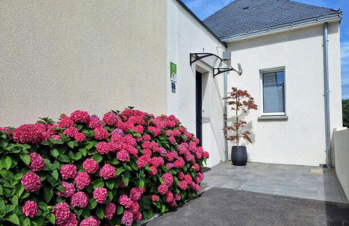 Triskell 56 - Foto 6