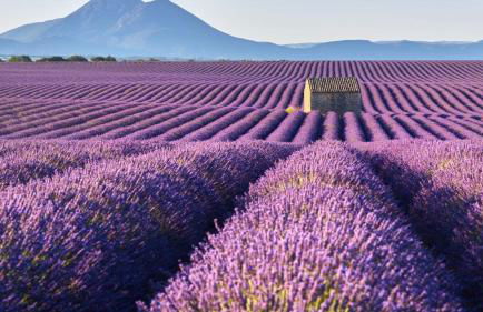 Roulotte Bohème en Provence, Terra Luna, Valensole - Photo 31