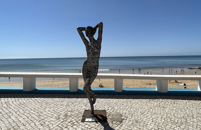 Azinheira CIP - Photo 42