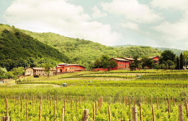 L'Uva e le stelle - Foto 39