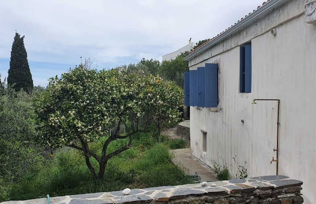 Diamoni Afroditi - Photo 28