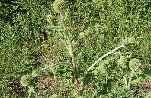 "Haus Ulla" - Foto 34