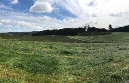 Bauer Haug - Foto 13