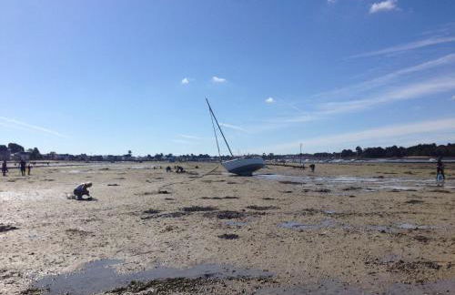 Ty-Du - Bois Brulé - Ile Tudy - Maison Hôtelière - Plage du Sillon - Parking Privé - Photo 63