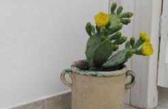 Na Chicca e na Nicchia - Foto 38