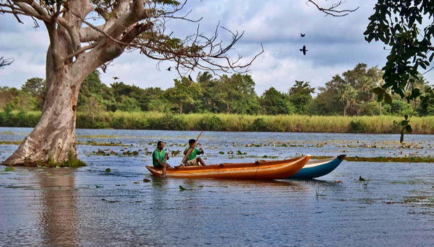 Habarana Excursion - Foto 2