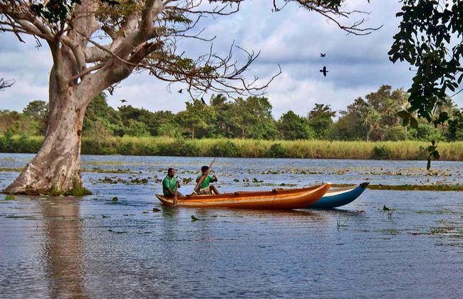 Excursión a Habarana - Foto 1