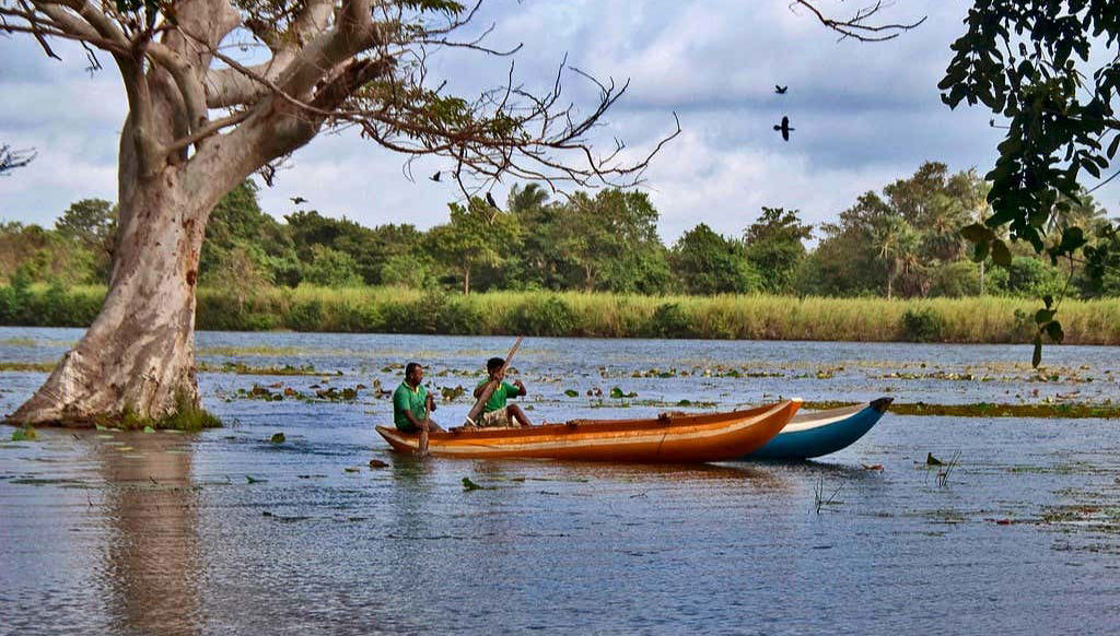 Alla scoperta del lago Habarana