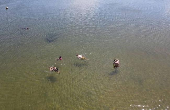 Log Cabin On And Overlooking a 9km Lagoon - Photo 28