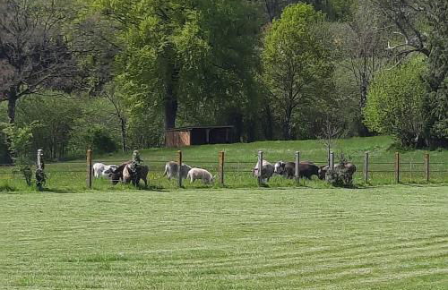 Magnifique villa avec piscine intérieure - Foto 72
