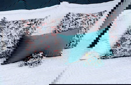 Guarujá Sol e Praia - Photo 2