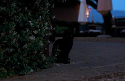 Poggio 3 Lune - Foto 27