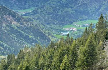 Ferienwohnung Geigelsteinblick - Photo 9