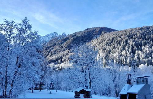 Soggiorno Vacanze Stella Alpina - Foto 52