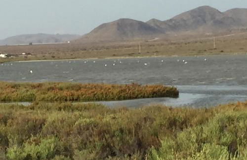 Apartamento del Toyo - Foto 54