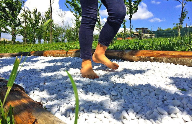 Holiday Resort Contea dei Ciliegi Pedaso - Foto 53