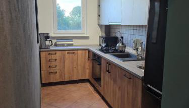 Apartament Sosnowiec - Foto 3, stove, dishwasher, pet friendly