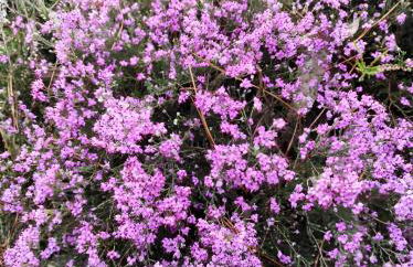 Casa do Alto (top floor apartment) - Foto 79