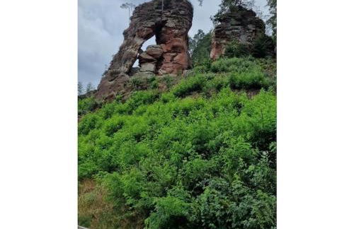 Holiday home Korn am Bärensteig - Foto 29