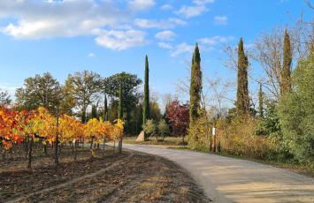 Casa Colonica - Foto 38