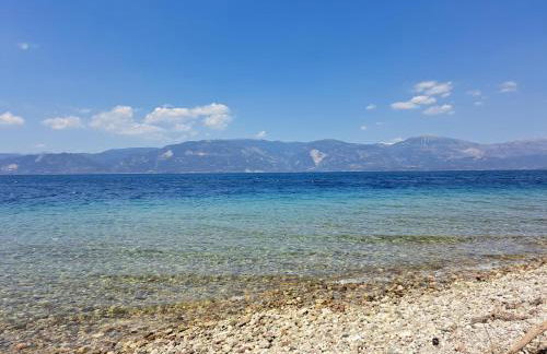 ATHINA-Georgia - Foto 16