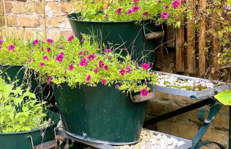 Romantikferienhaus am Schlösschen - Sauna, Kamin & Seenlandschaft nahe Berlin - Foto 21