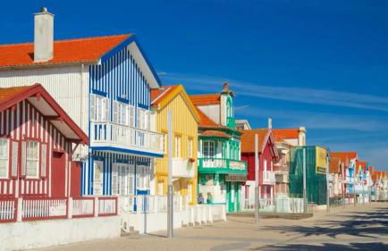 Bird’s Home - Foto 76