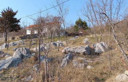 Holiday Home NOEL - NATURE & POOL - Foto 6