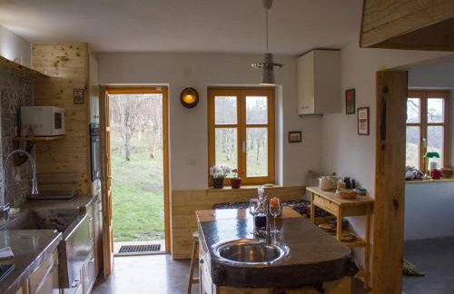 Holiday Home in Bunjevci with Sauna & Garden - Foto 73