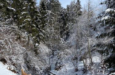 Villa Dolomiti - Foto 69