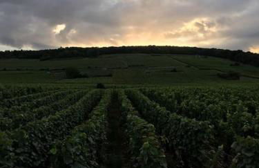 CHARMING FLAT IN HISTORICAL CENTRE - Foto 40