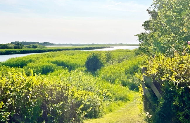 4 Star Holiday Home in Laholm-by Traum - Foto 30