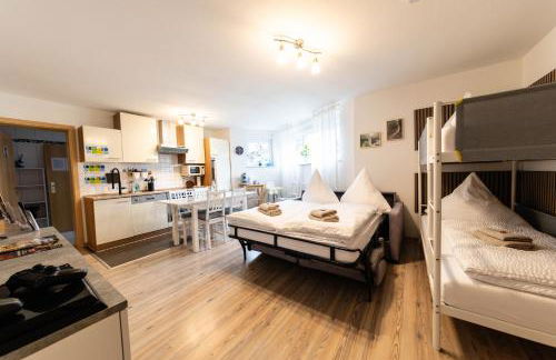 Fe Wo Europa Park - Rulantica-Straßburg - Colmar - Klimaanlage- Wallbox - Foto 73