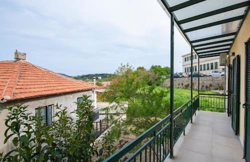 Basil & Sunrise - Photo 7