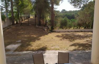 Casina nel Salento - Foto 18