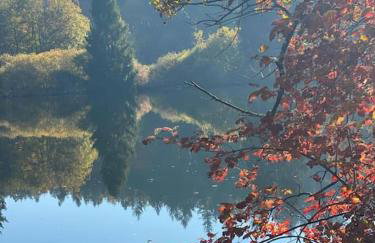 Charismatisch und gemütlich in Güttingen, nah zum Buchensee und Bodensee, tolle Lage - Foto 17