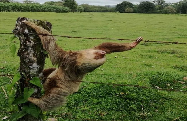 Elegant 3BR Beachfront Condo with Spacious Interior, Ocean-View Terrace & Direct Access to Playa Flamingo - Photo 28