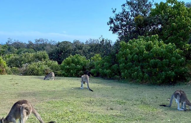Isla North Stradbroke y Atardecer - Excursión de un día completo para grupos pequeños - Foto 7