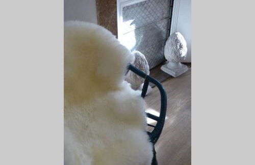 T2 Montpellier centre, climatisé - Photo 13