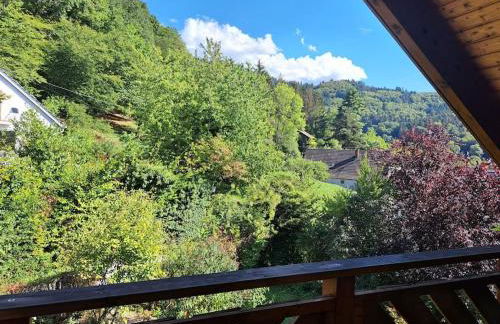 Gemütliche Waldrandlage in Badenweiler Sehringen Ferienwohnung - Foto 16