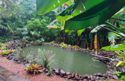 Aldeia Pé da Serra Cabana Natureza - Foto 23